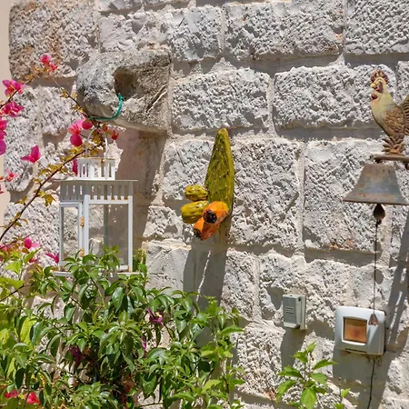 La Lamia * צ'יסטרנינו