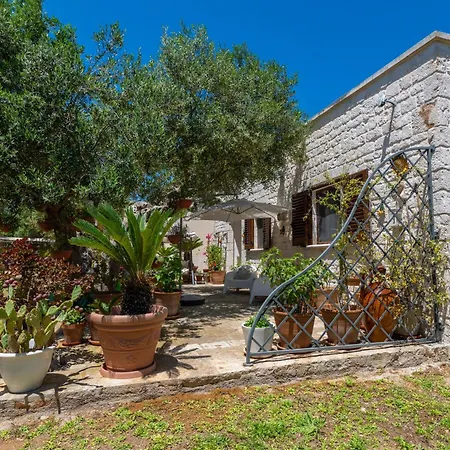 La Lamia * צ'יסטרנינו